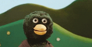 green duck staring into space